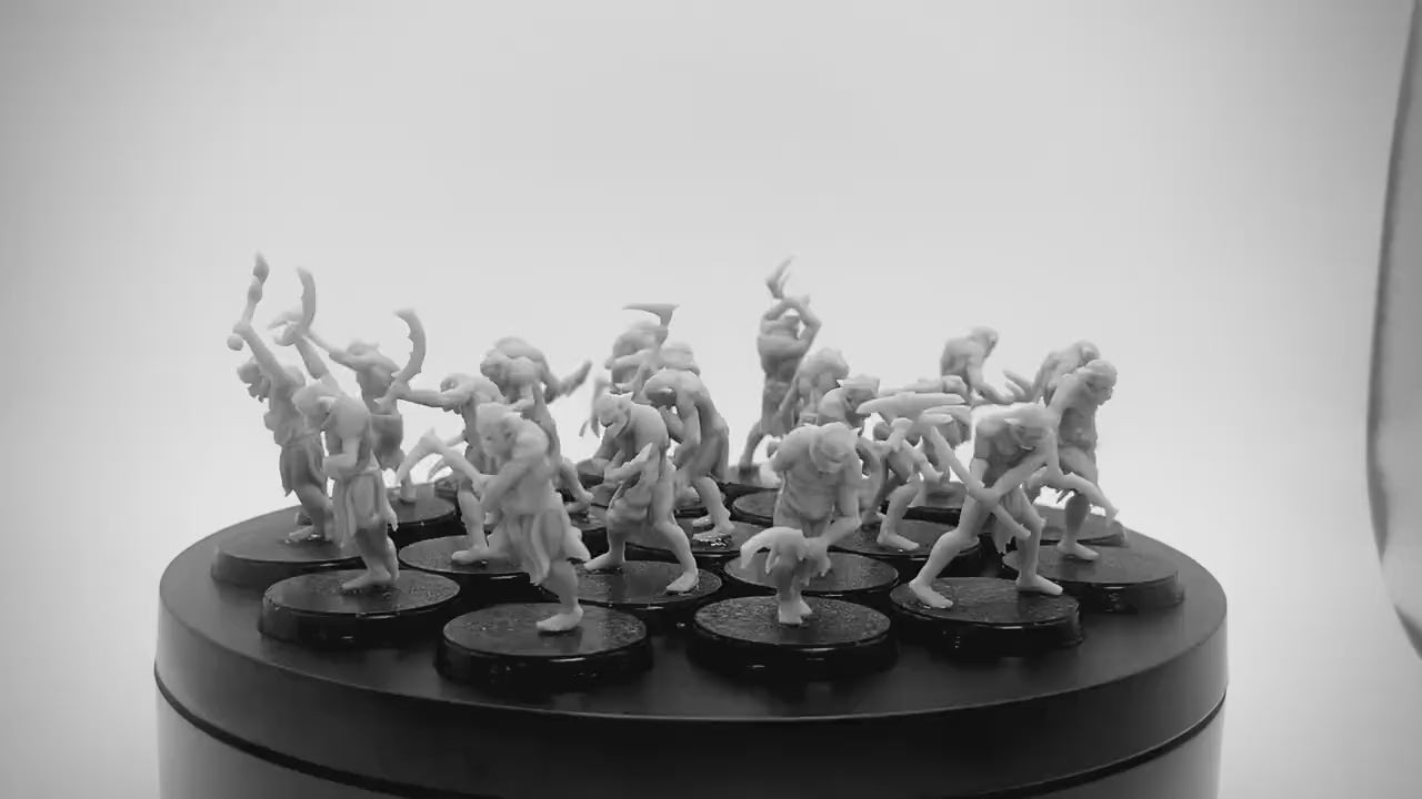 Goblin Warband