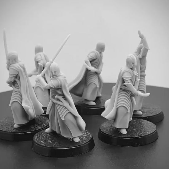 Bloody Elven Swordsmen