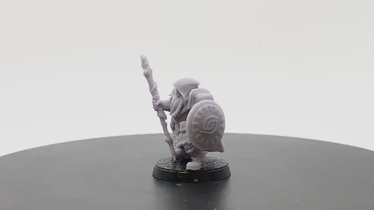 Tundra Male Dwarf Druid | Tabletop RPG Miniature | D&D | Roleplaying