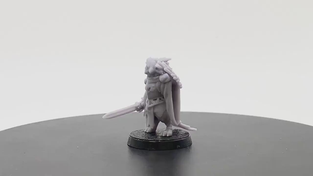Talonguard Knight | Tabletop RPG Miniature | D&D | Roleplaying