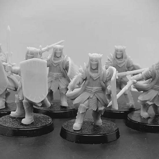 Dark Rhunemorian Warriors Warband