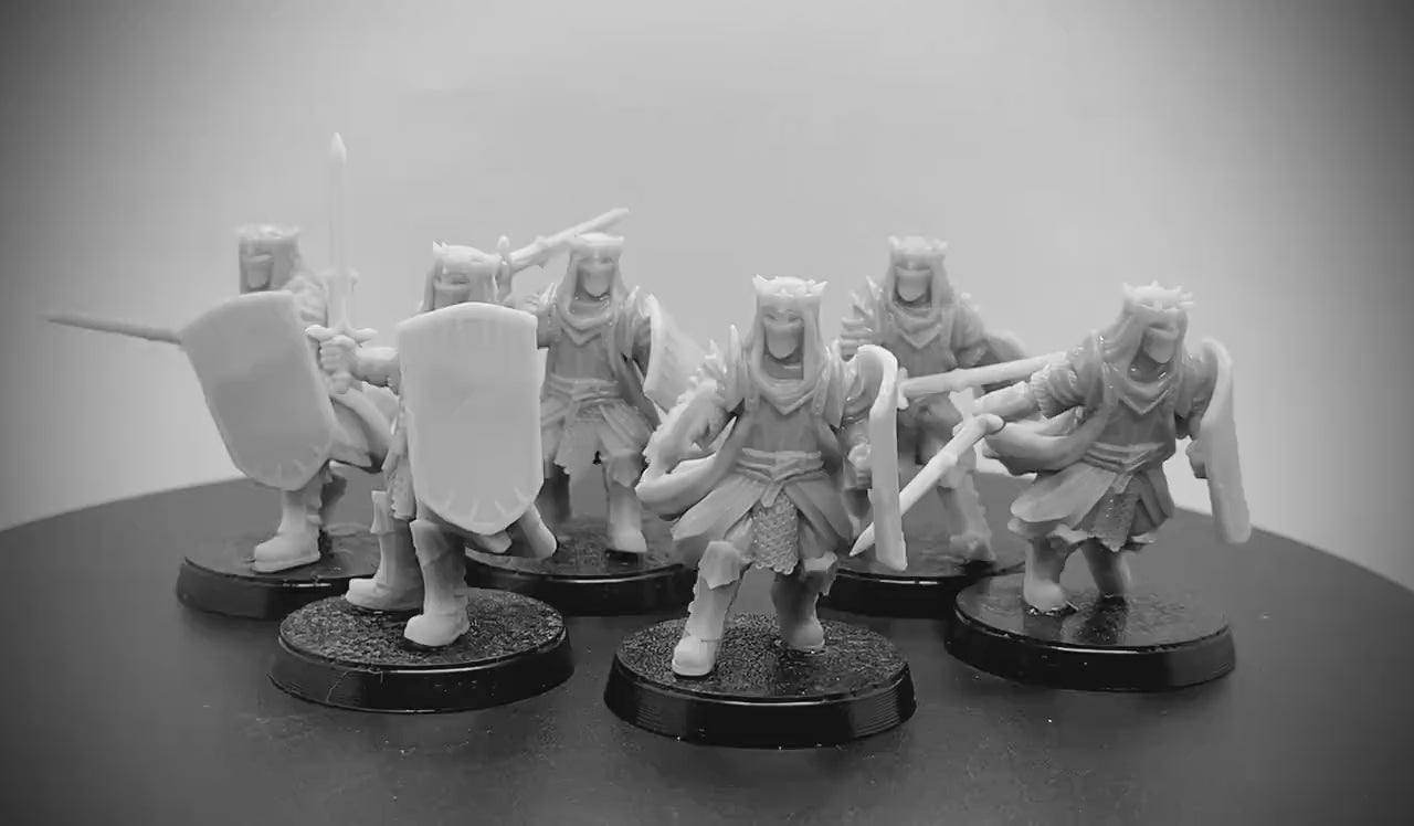 Dark Rhunemorian Warriors Warband