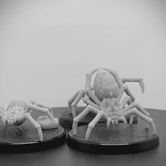 Venomous Spiders