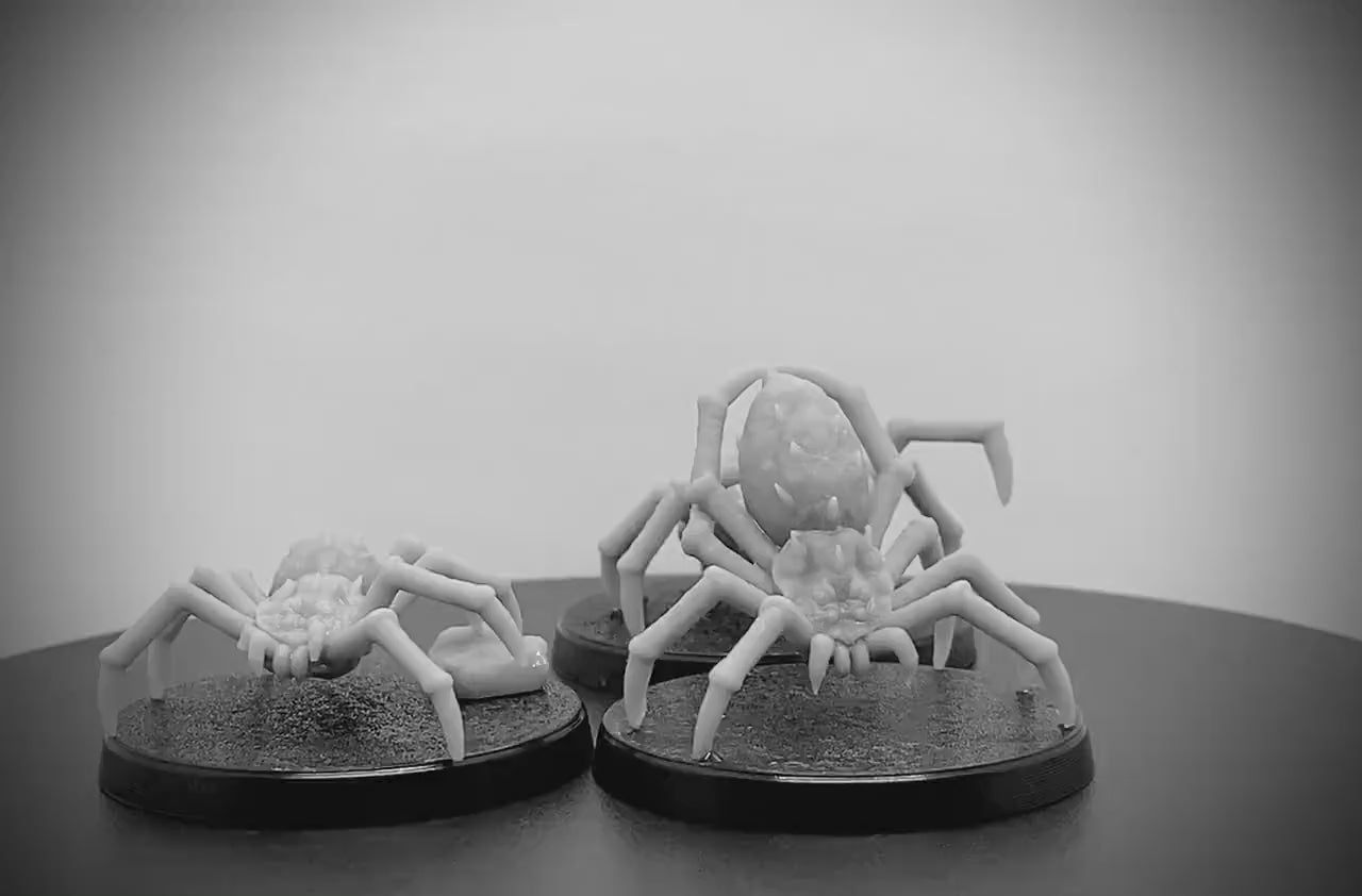 Venomous Spiders