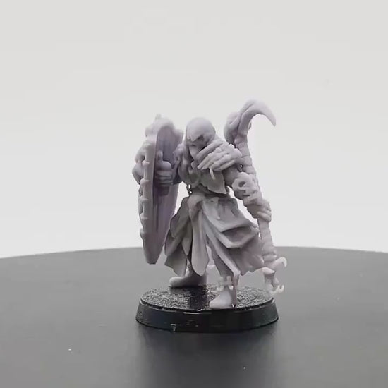 Raven Queen Knight | Tabletop RPG Miniature | D&D | Roleplaying