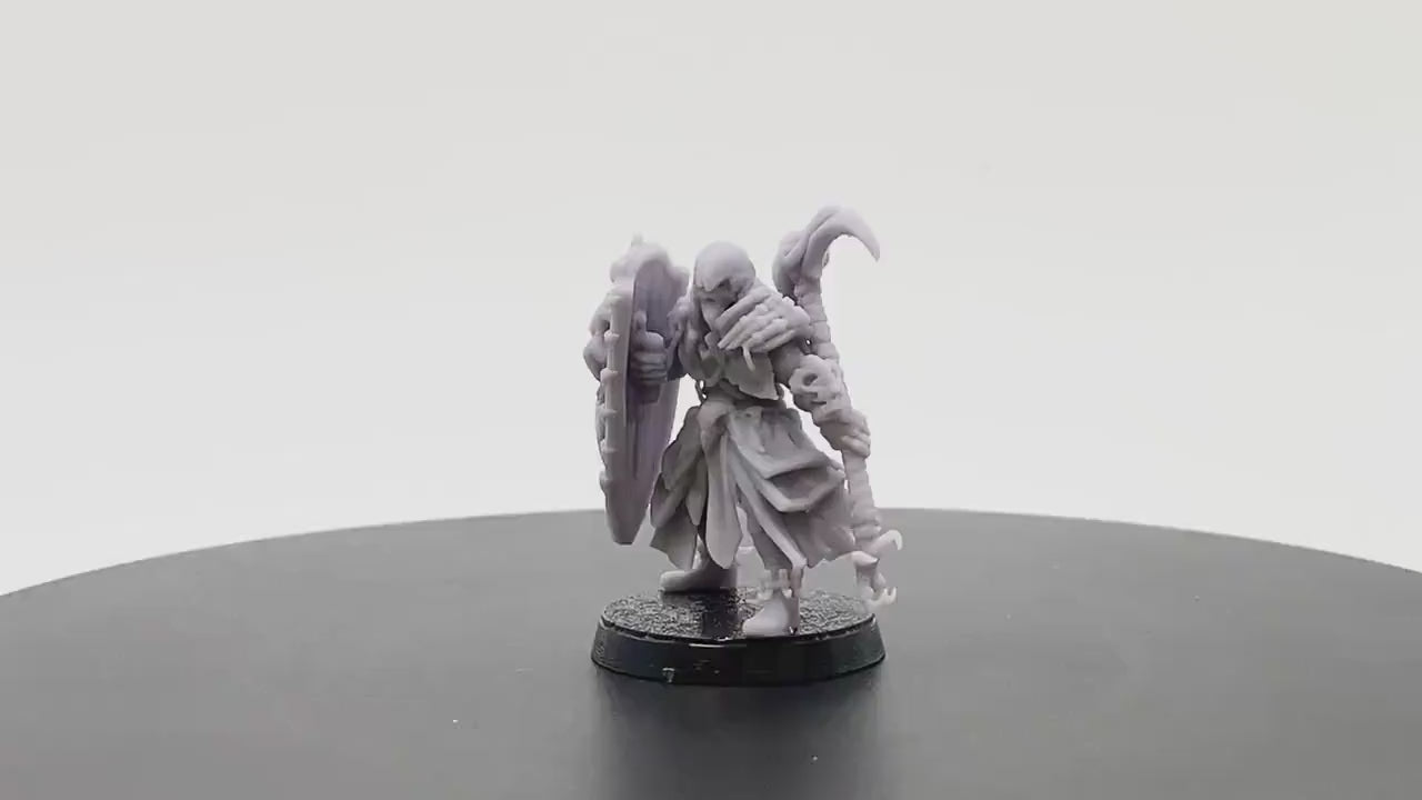 Raven Queen Knight | Tabletop RPG Miniature | D&D | Roleplaying