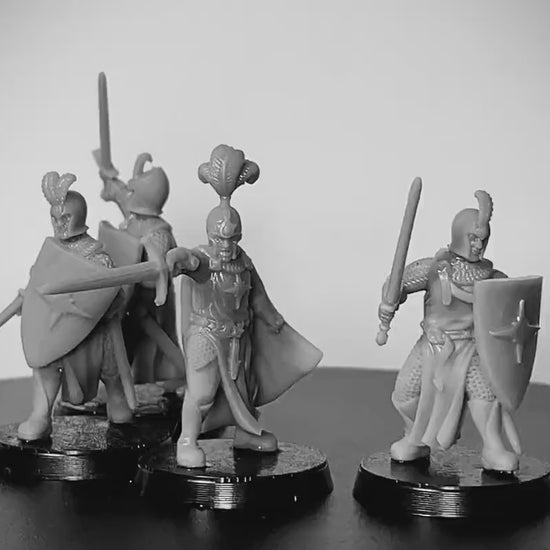 High Fantasy Elven Lord and Warriors