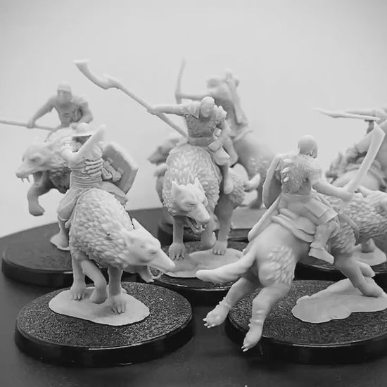 Orc Wolf Riders Warband