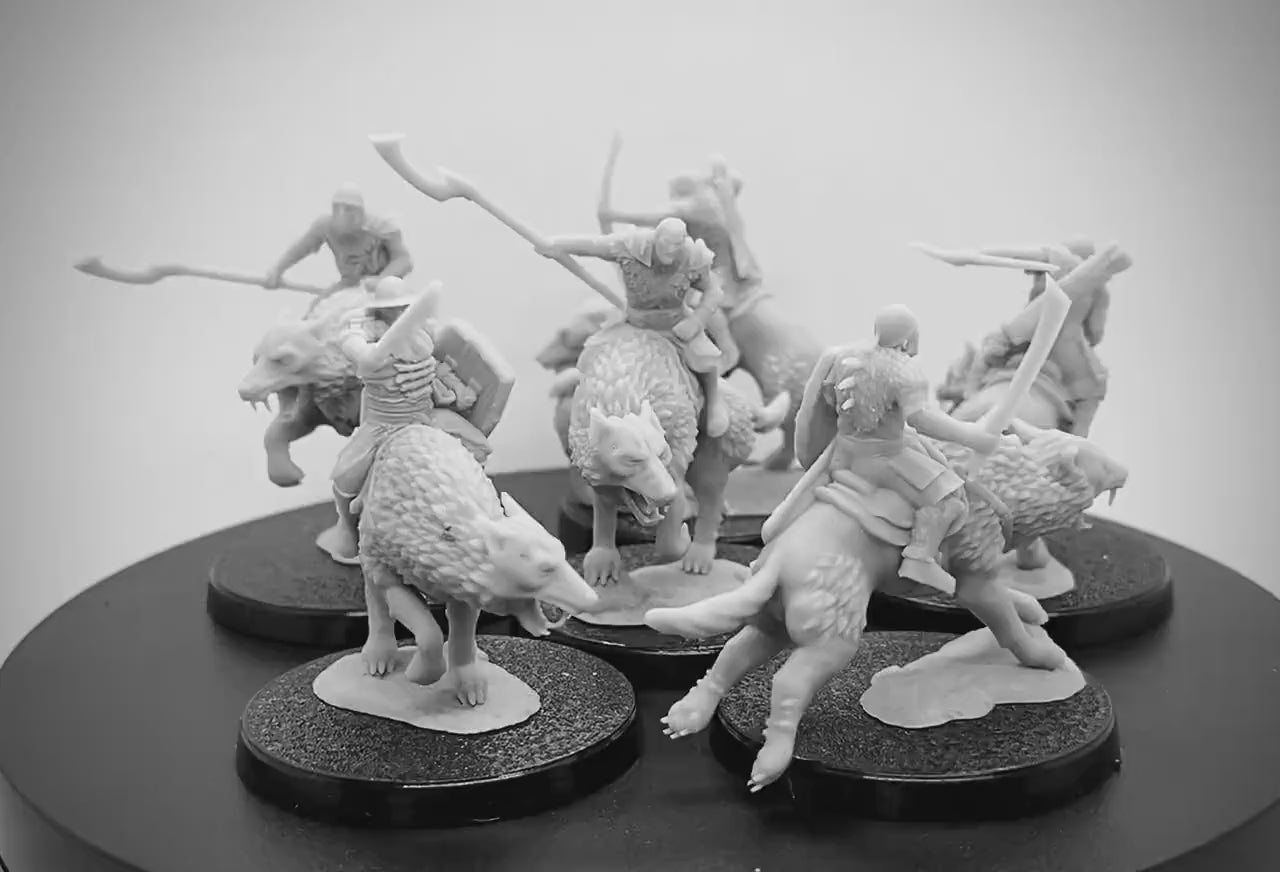 Orc Wolf Riders Warband