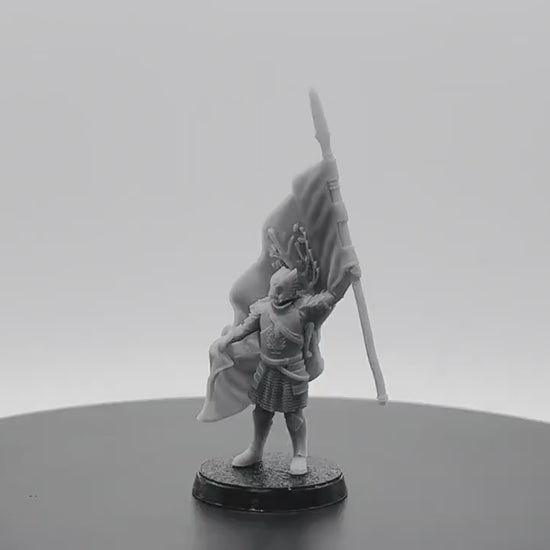 Grey Castle Banner Bearer