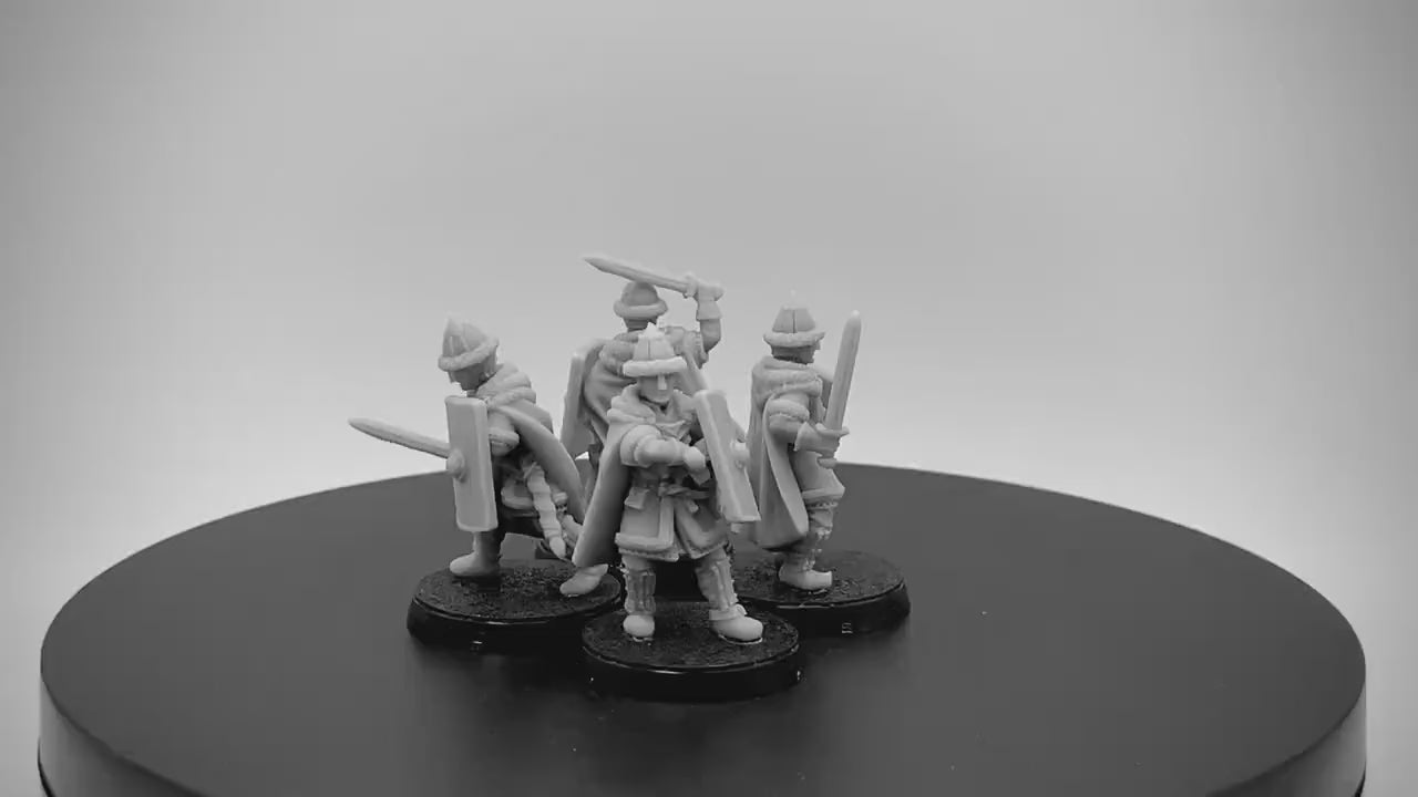 Lakemen Guard Swordsmen