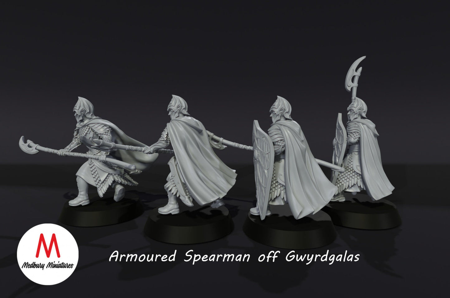 Armoured Elven Spearmen