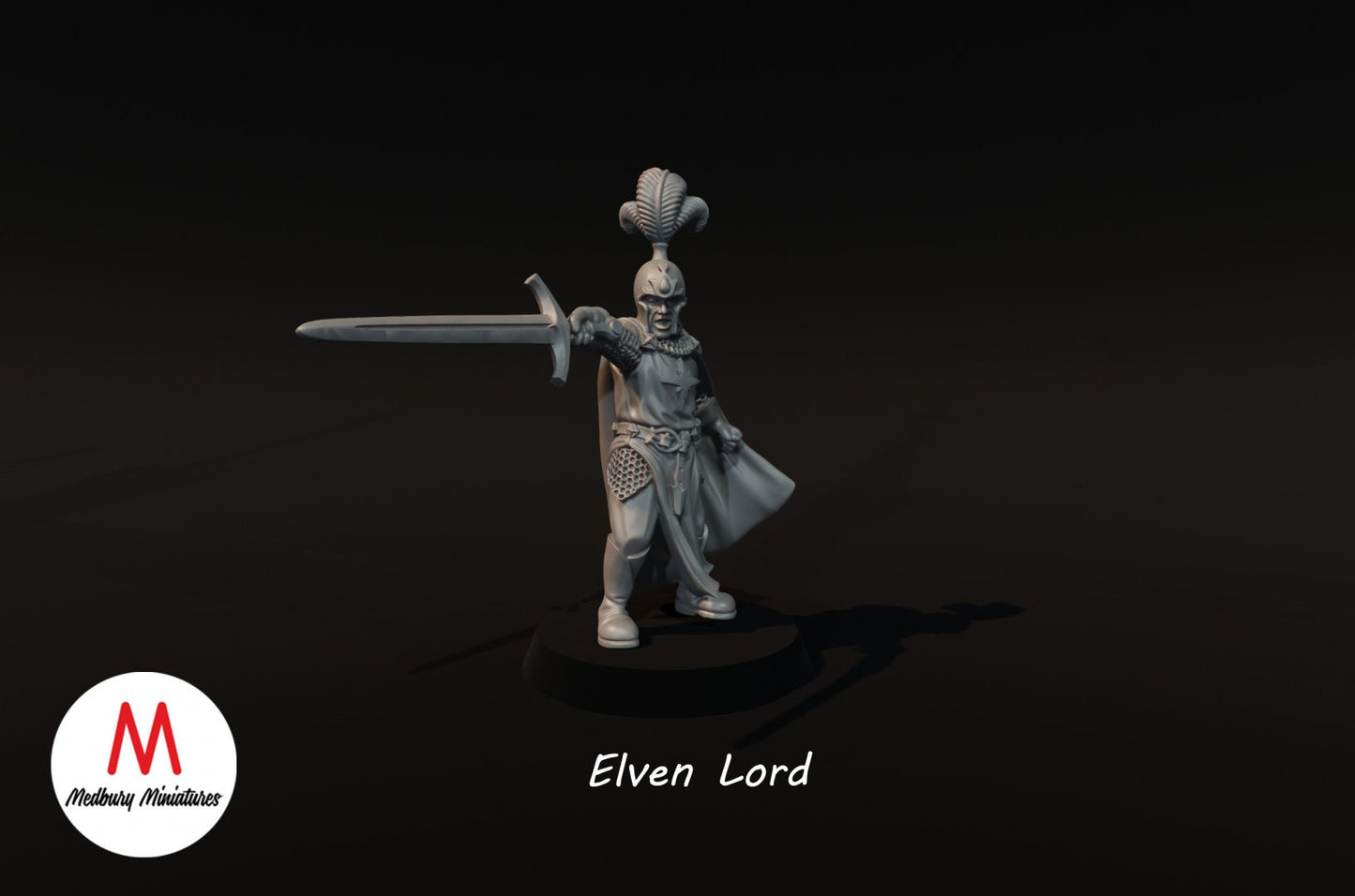 High Fantasy Elven Lord and Warriors