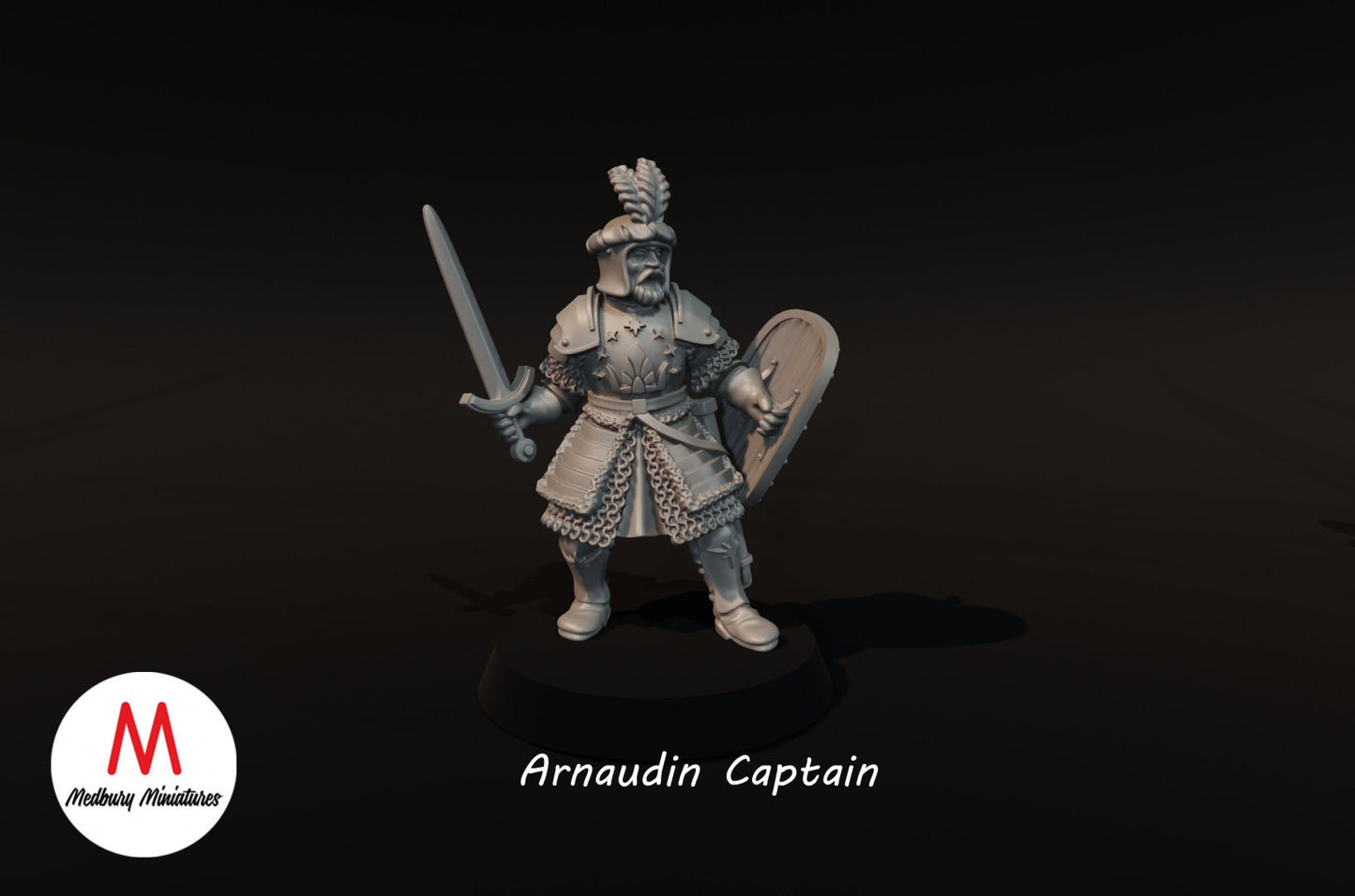 Aethelion King of Arnaudin, and Captain