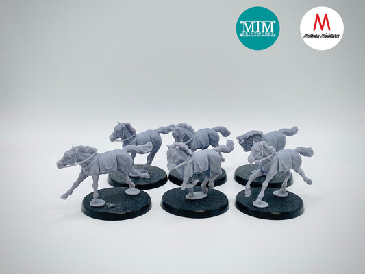 Horse Set Bits Box