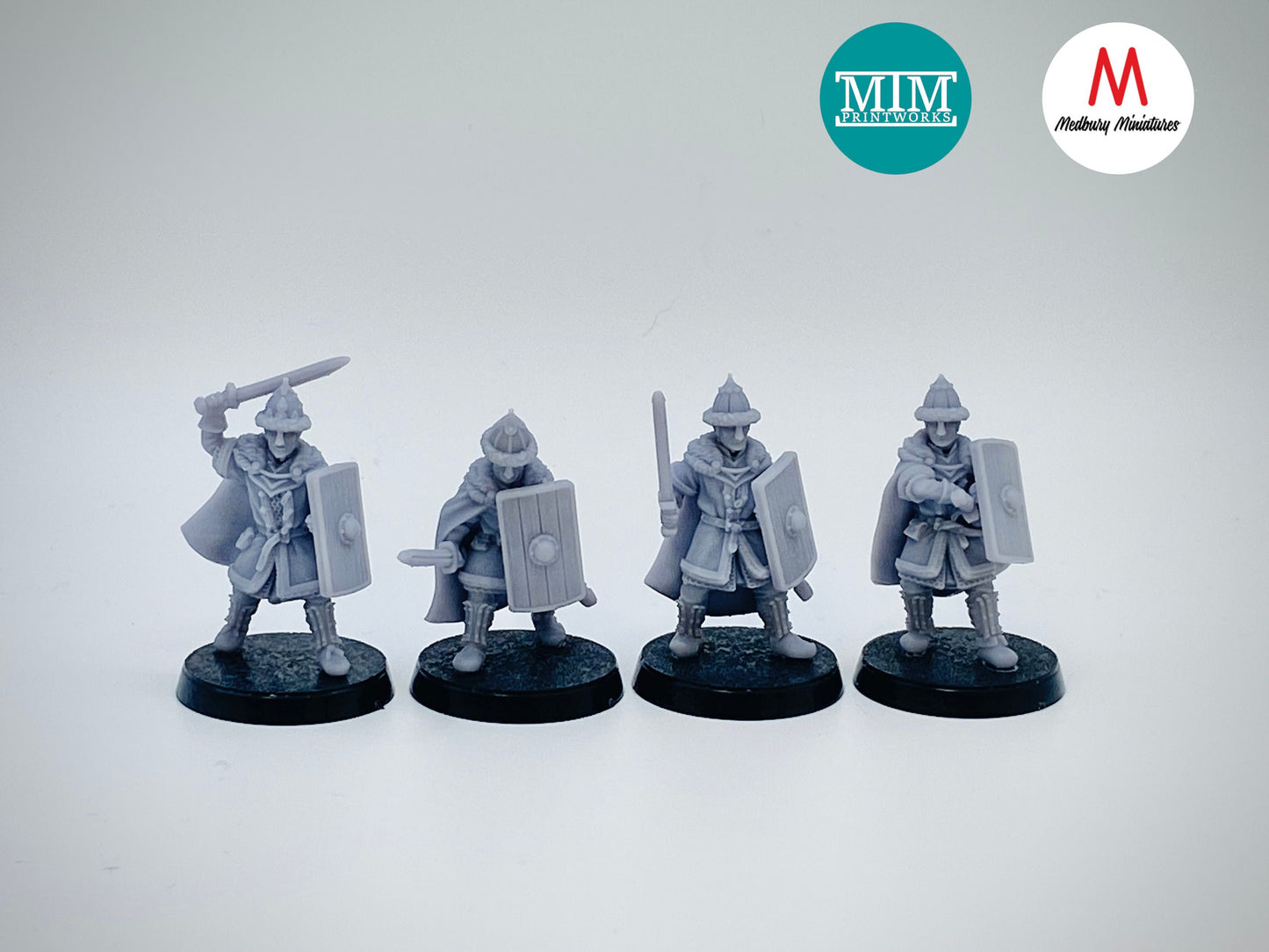 Lakemen Guard Swordsmen